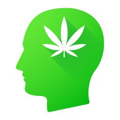 Male head icon with a marijuana leaf