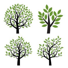 Set of green vector tree with leafs