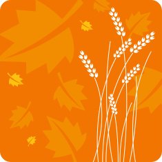 Autumn N93