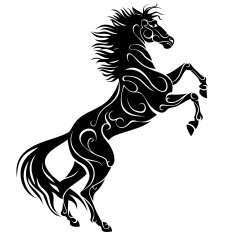 rearing horse N3