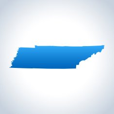 Tennessee Map N8