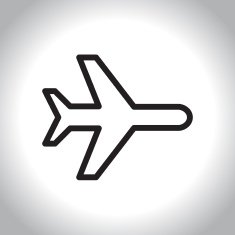 Icon flight N2
