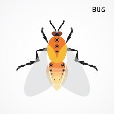 Bug sign Insect icon N2