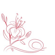 sketch of a flower and ribbon N2