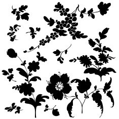 set silhouette black plant flower