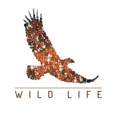 Abstract eagle Mosaic Vector illustration Wild life N2
