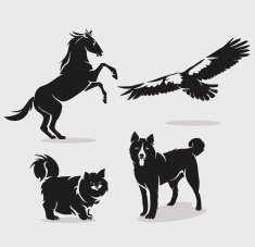 Set of animals N5