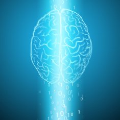 Digital brain on blue background N2