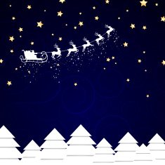 Vector Christmas Background N47