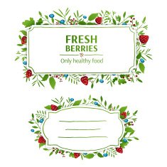 Beautiful banner Strawberries and blueberries elements Ornament from leaves berries