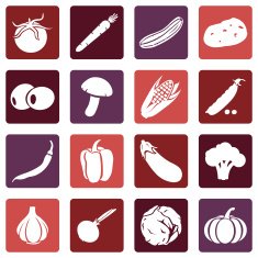 Vector Set of Vegetables Icons N20