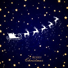 Vector Christmas Background N48
