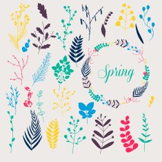 Collection of spring flowers leaves dandelion grass N5