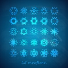 vector set of 25 graceful snowflakes on the blue backgrond N2
