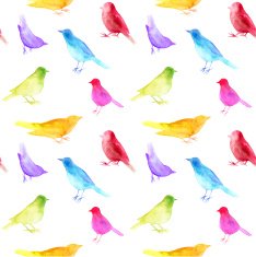 Watercolor birds N3