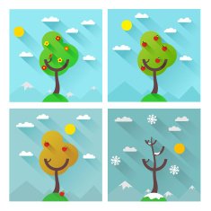 Seasons N11
