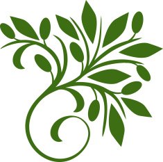 Decorative olive N2