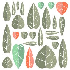 Set of leafs N2