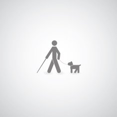 Blind Symbol N9