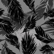 seamless pattern of feathers bird N2