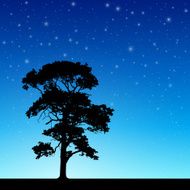 Tree with Night Sky N2