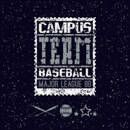 College print baseball team N2