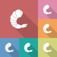 Icon of shrimp N2
