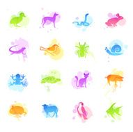 Stains Icons - Pets