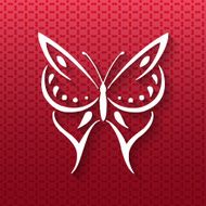 Butterfly Logo vector design template N2