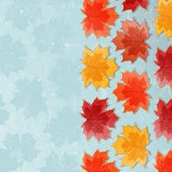 Autumn background with maple leaves