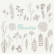 Hand drawn vintage flowers set N2