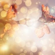 Abstract spring floral background N6