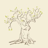 Spring Tree N29