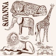 Collection of vector hand drawn savanna animals N2