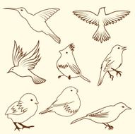 Set of differnet sketch bird N2