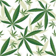 cannabis seamless ornament