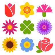 colorful flower set N2