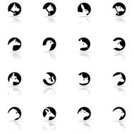 Icon Set Animals N3