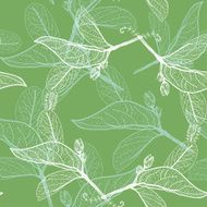 Leaves contours on green background floral seamless pattern hand-drawn Vector