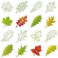 Leaves of plants and pictograms set