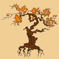 Autumn Tree N54