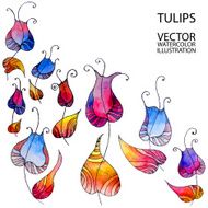 Rainbow tulips N2