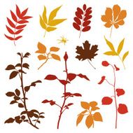 Silhouettes set of fall plants