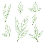 Stylized leaves