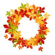 Autumnal leaves frame N2