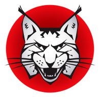 Bobcat N2