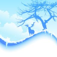 winter N33