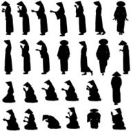 Vector silhouette of Chinese N13