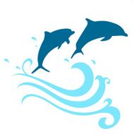 Jumping Dolphins N4