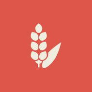 Food Flat Icon N38